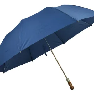 Folding Umbrella#03